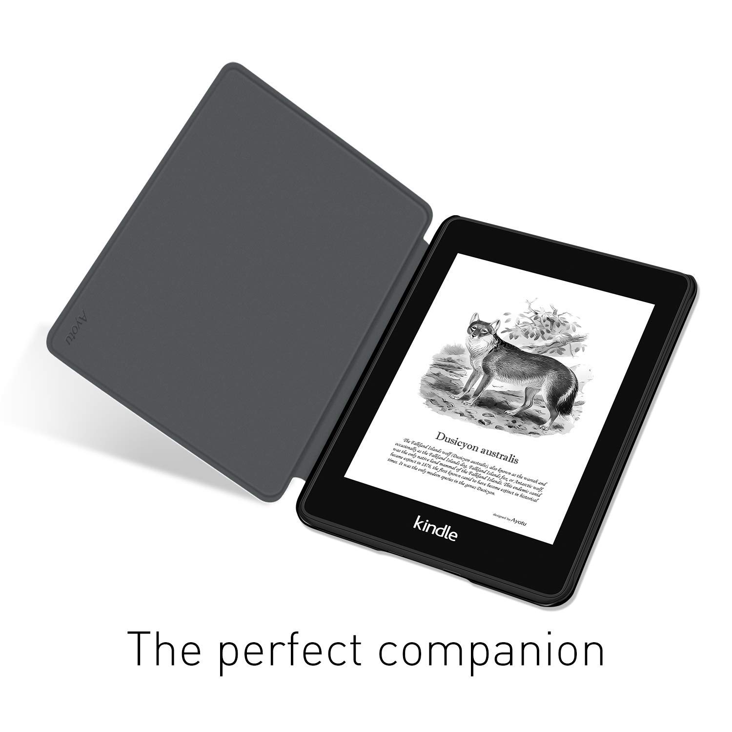 Смарт-чехол для Kindle Paperwh – обзор и цена Kindle Tablet Accessories